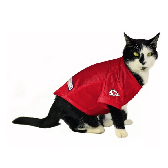 Littlearth NFL Personalized Stretch Dog & Cat Jersey, Kansas City Chiefs, XL - Picture 4 of 6